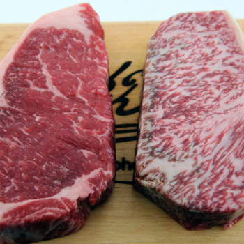 Beef 4